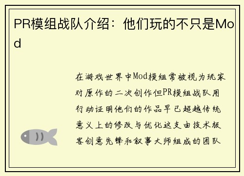 PR模组战队介绍：他们玩的不只是Mod